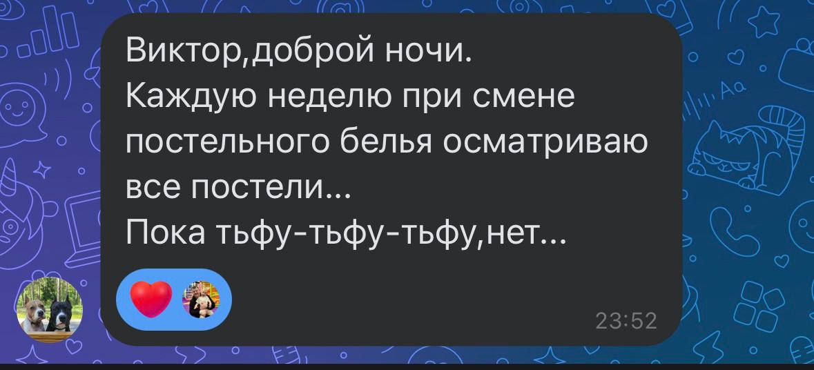 Скриншот сообщения клиента в Telegram после обработки помещения
